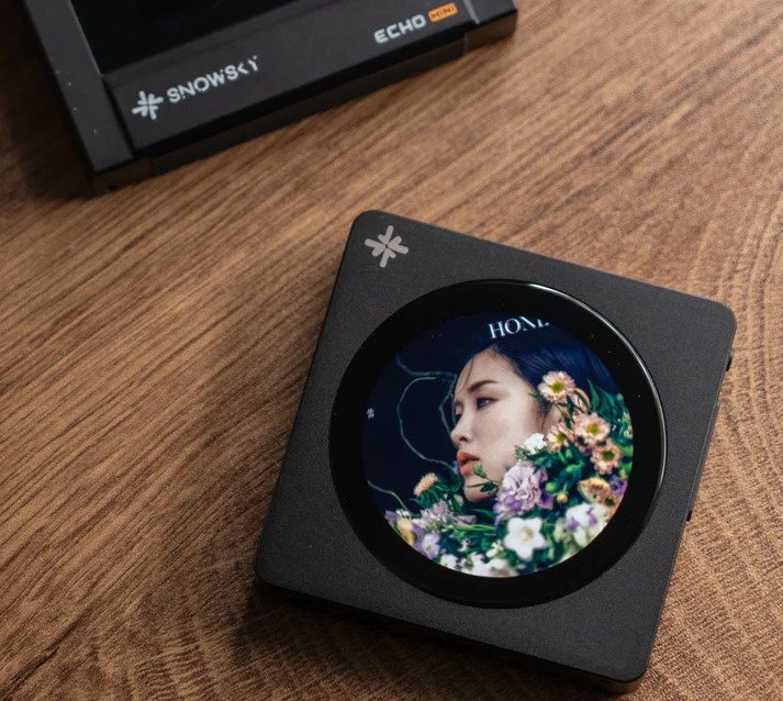 FiiO Snowsky DISC Portable Hi-Res Digital Audio Player